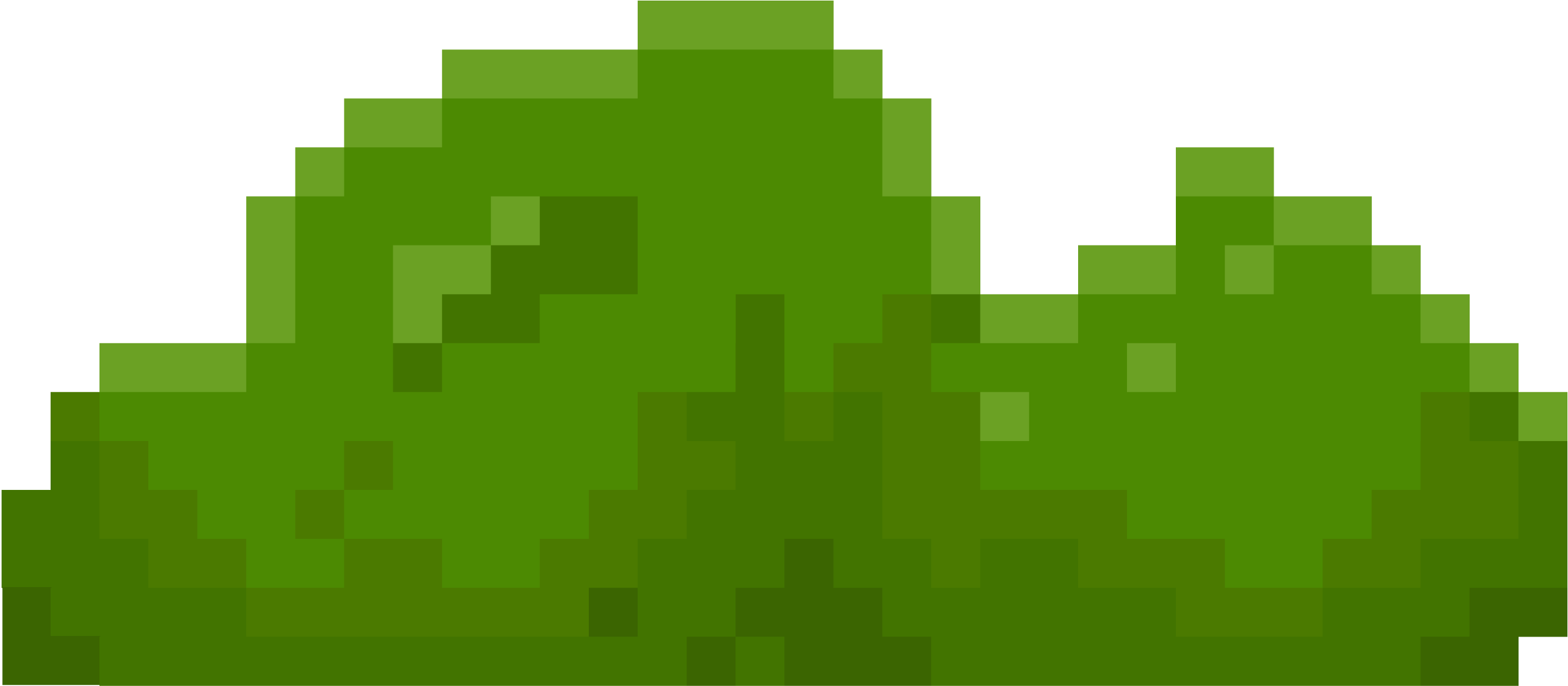 Bush 1