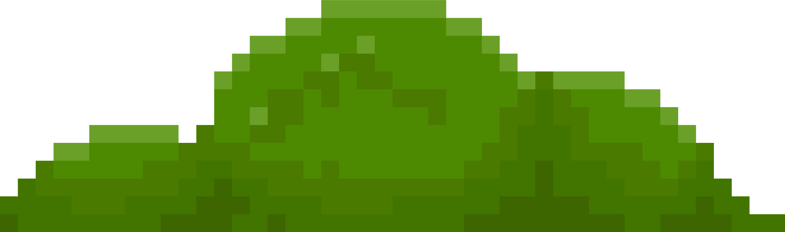 Bush 2
